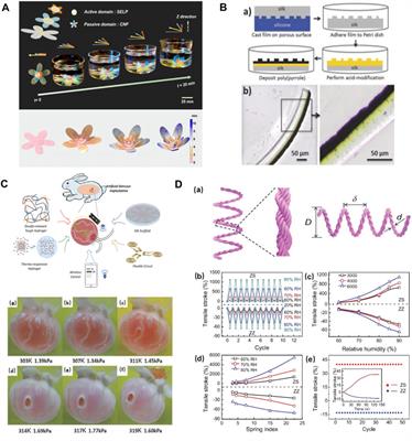 Engineering Natural and Recombinant Silks for Sustainable Biodevices